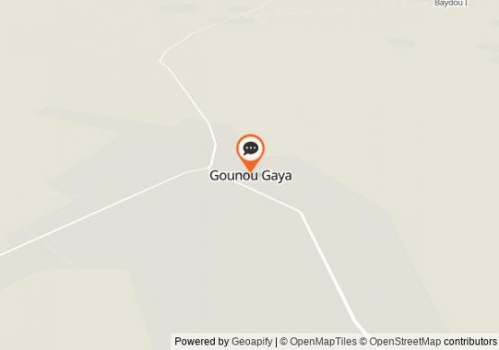 Chat Gounou Gaya