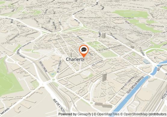 Chat Charleroi